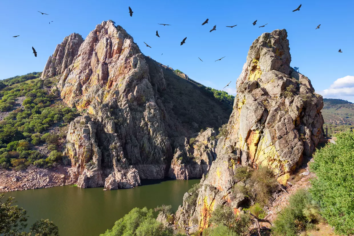 Parc naturel de Monfragüe