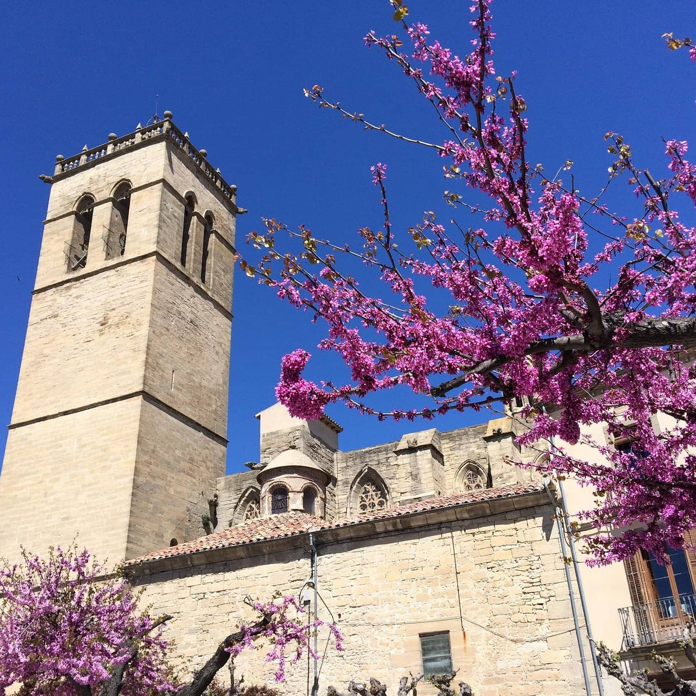 Eglise Santa Maria à Santa Coloma de Queralt