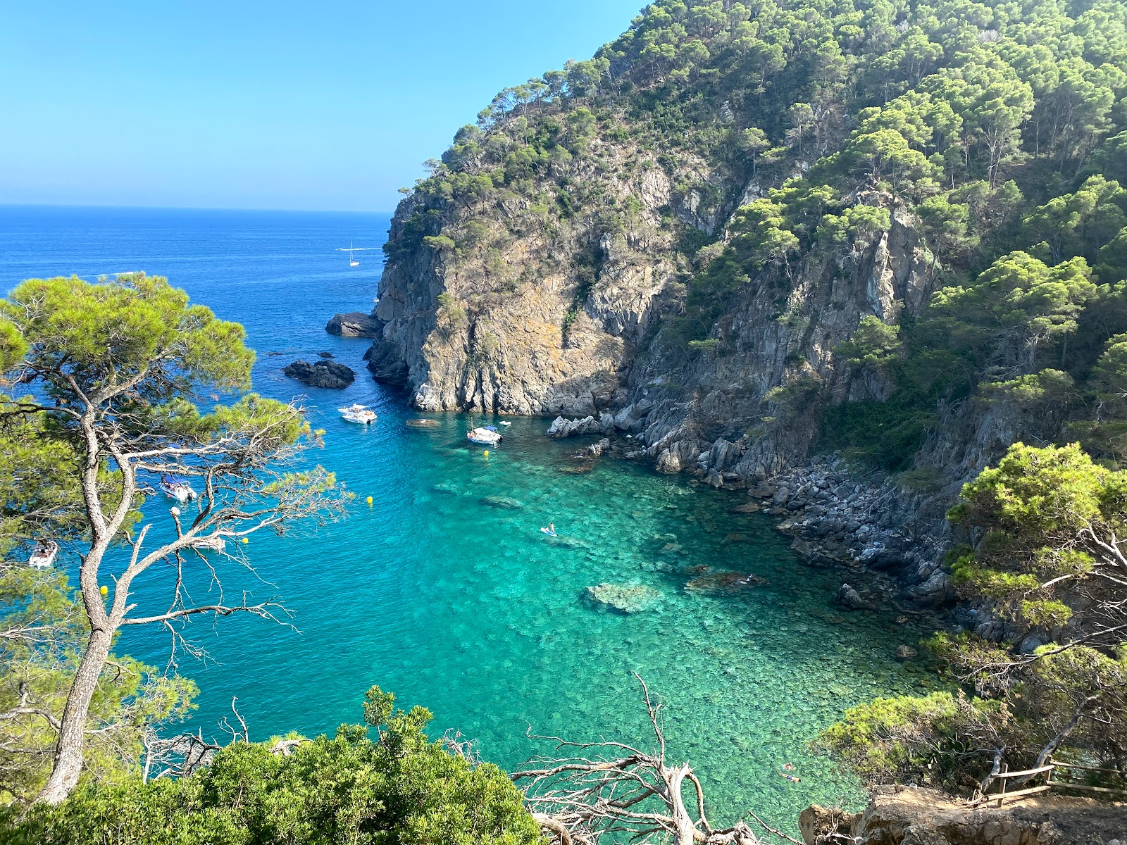 Petite crique sauvage 